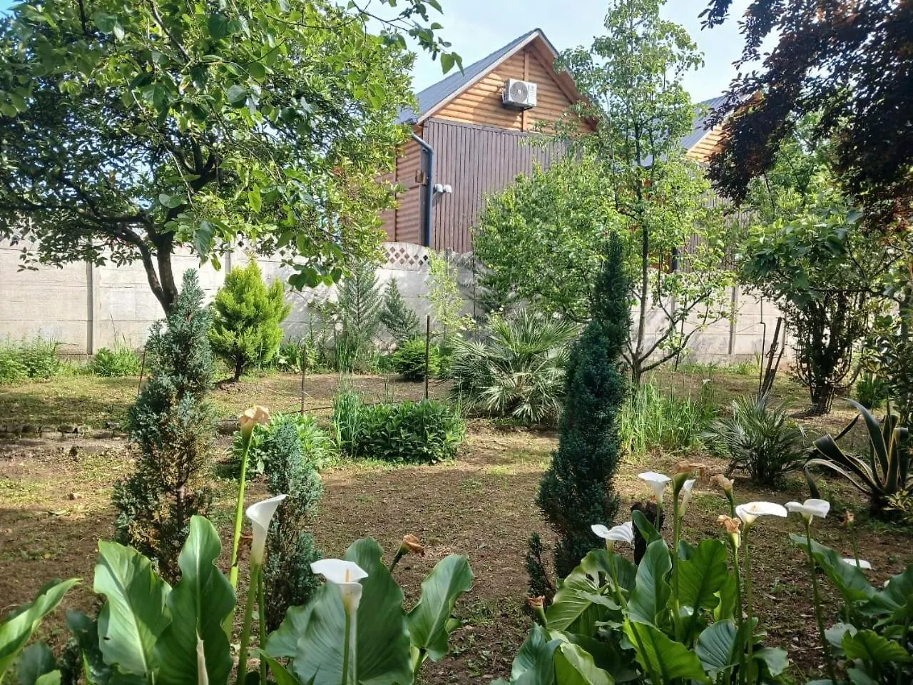 Aparthotel Marita Batumi